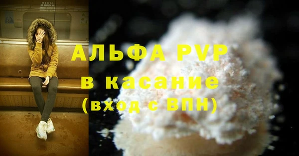 СК Аркадак