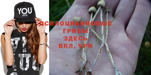 a pvp Покачи