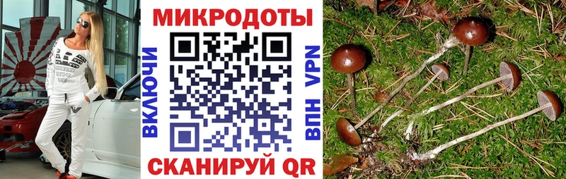 Галлюциногенные грибы мицелий  Перевоз 