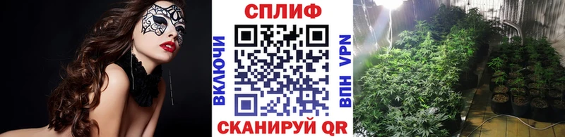 Каннабис MAZAR  закладка  Перевоз 